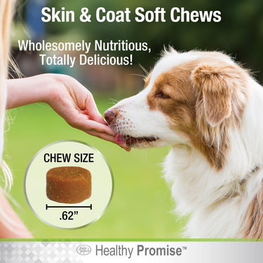 Four Paws Healthy Promise Soft Liver Dog Supplements for Skin and Coat Soft Chews