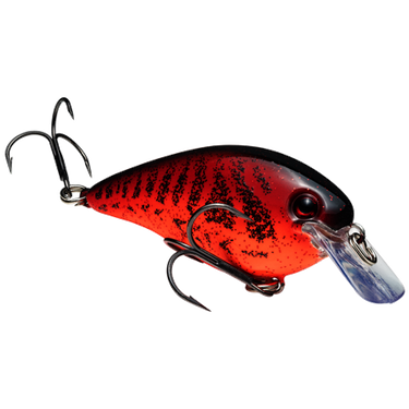 Strike King KVD Square Bill 1.5 (Chili Craw)