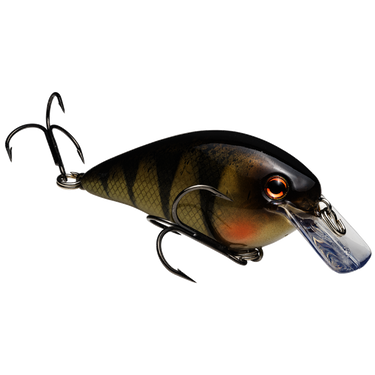 Strike King KVD Square Bill 1.5 (Yellow Perch)