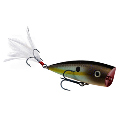 Strike King KVD Splash (Summer Sexy Shad)