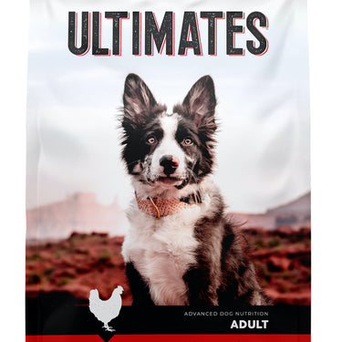 Ultimates Chicken Meal & Rice Dry Dog Food 5lb