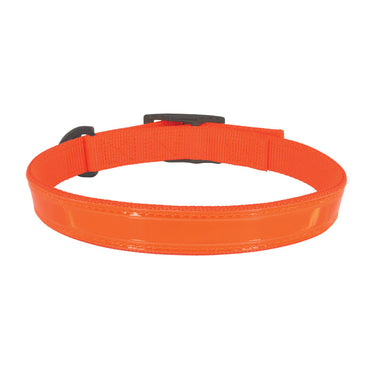 Coastal Water & Woods Double-Ply Reflective Dog Collar (Safety Orange) Size 18"