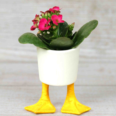 Kikkerland Small Duck Feet Planter