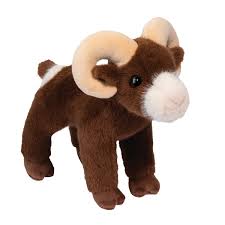 Douglas Burly Bighorn Sheep