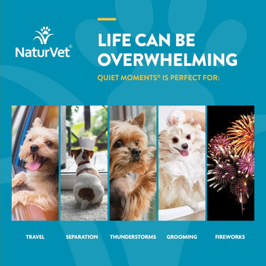 NaturVet Quiet Moments Calming Aid Plus Melatonin Soft Chew