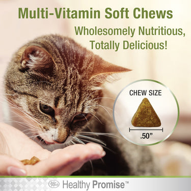 Four Paws Healthy Promise Savory Chicken Multi-Vitamins For Cats