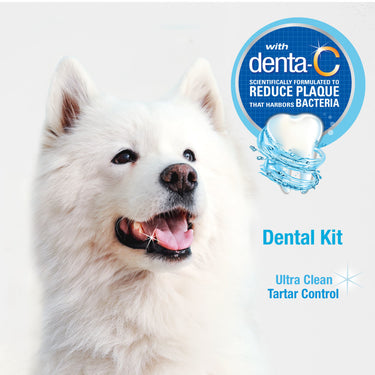 Nylabone Advanced Oral Care Dog Dental Kit