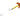 Cha Cha® Crawler Size 4 Orange Black Tiger/Chartreuse Orange Scale