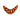 Smile Blade® Tiger 5-Pack Size 1.1 Orange Black Tiger