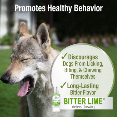 Four Paws Healthy Promise Bitter Lime Anti Chew Spray for Dogs and Cats