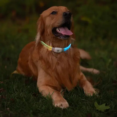 Nite Ize NiteHowl® Max Rechargeable LED Safety Necklace - Disc-O Select™