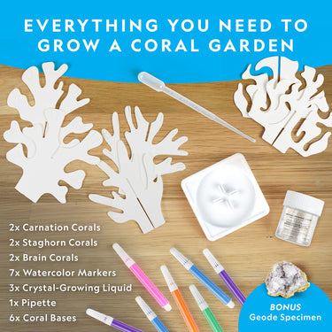 National Geographic Crystal Reef Kit