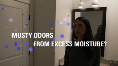 DampRid Moisture Absorber Refill Lavender Vanilla Scent 44 oz