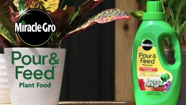 Miracle-Gro Pour & Feed Liquid Plant Food 32 oz