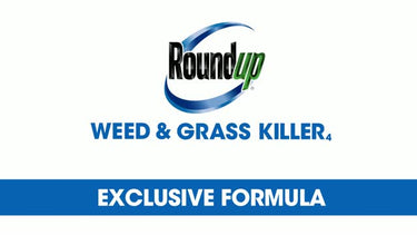 Roundup Weed and Grass Killer Concentrate 0.5 gal