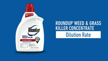 Roundup Weed and Grass Killer Concentrate 0.5 gal
