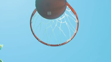 Franklin White Basketball Net