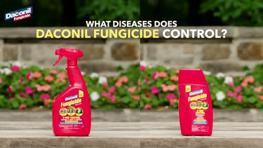 GardenTech Daconil Liquid Fungicide 32 oz