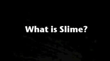 Slime Tube Sealant 8 oz
