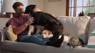 Resolve Pet High Traffic Carpet Cleaner 22 oz Foam