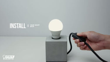 Feit Smart Home ST19 E26 (Medium) Smart-Enabled LED Bulb Amber 60 Watt Equivalence 1 pk