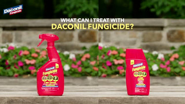 GardenTech Daconil Liquid Fungicide 32 oz