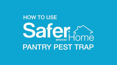 Safer Brand The Pantry Pest Insect Trap 2 pk