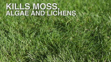 Scotts MossEx Lawn Moss Killer RTS Hose-End Concentrate 32 oz