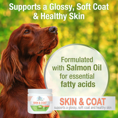 Four Paws Healthy Promise Soft Liver Dog Supplements for Skin and Coat Soft Chews