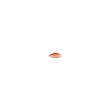 Thomas Lures 1/4oz Buoyant Minnow (Copper)