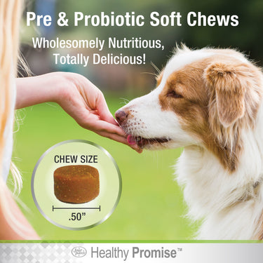 Four Paws Healthy Promise Savory Chicken Pre & Probiotics For Dogs
