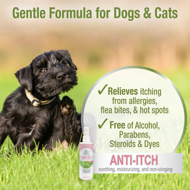 Four Paws Healthy Promise Pet Aid Fast-Acting Anti Itch Spray for Dogs & Cats