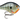 Rapala DT Series Crankbait DT10 (Bluegill)