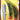 Yakima Bait SpinFish 3.0 Thumper 2 Pack Lure