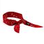 Load image into Gallery viewer, Pyramex CNB100 Cooling Neck Bandana with Polymer Crystal Beads for Heat Stress (1 Bandana)
