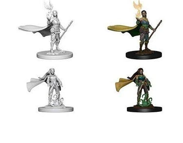 Dungeons & Dragons: Nolzur's Marvelous Unpainted Miniatures - W04 Elf Female Druid