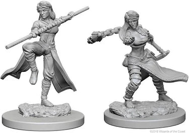 Dungeons & Dragons: Nolzur's Marvelous Unpainted Miniatures - W01 Human Female Monk