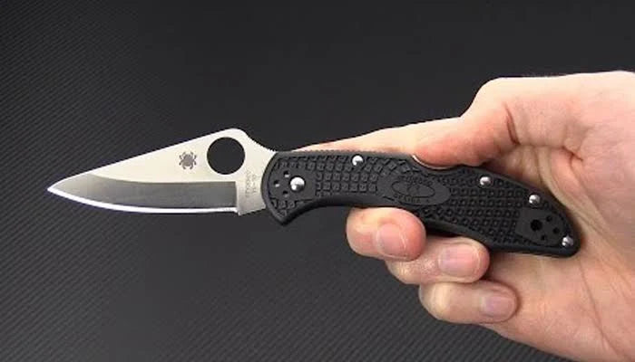 Load image into Gallery viewer, Spyderco Delica 4 Folding Knife 2-7/8&quot; VG10 Satin Plain Blade
