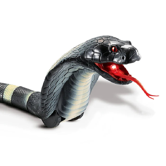 Slithering Snake
