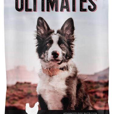 Ultimates Chicken Meal & Rice Dry Dog Food 40lb