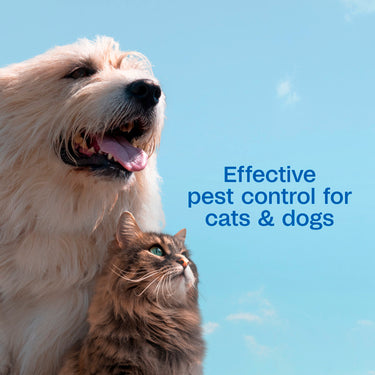 Adams Flea & Tick Spray 16oz