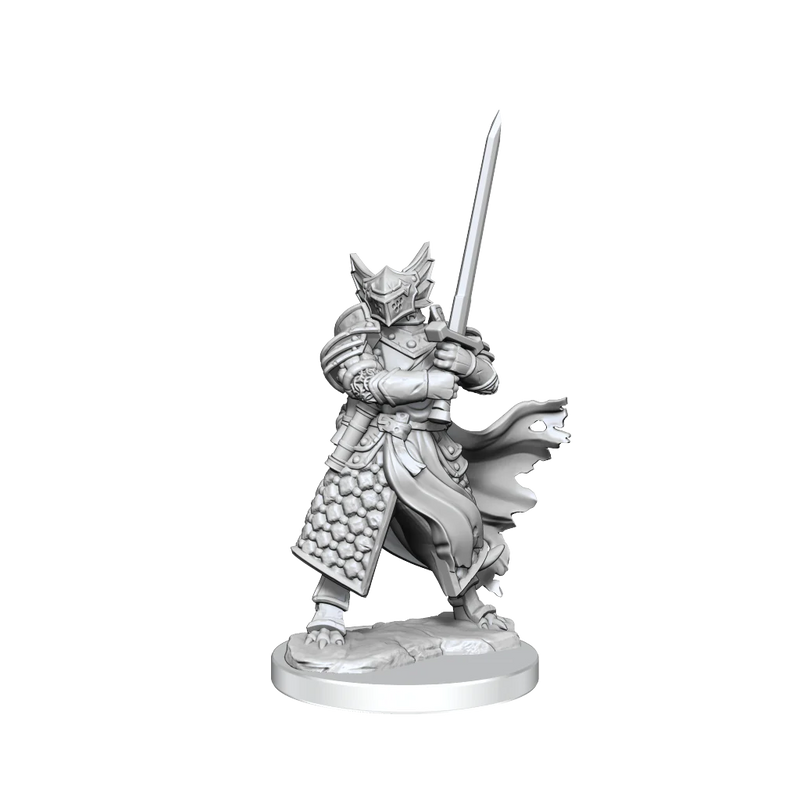 Load image into Gallery viewer, D&amp;D FRAMEWORKS: DRAGONBORN PALADIN MALE - UNPAINTED AND UNASSEMBLED
