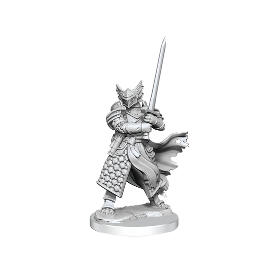 D&D FRAMEWORKS: DRAGONBORN PALADIN MALE - UNPAINTED AND UNASSEMBLED