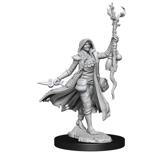 D&D FRAMEWORKS: HUMAN DRUID FEMALE - UNPAINTED AND UNASSEMBLED