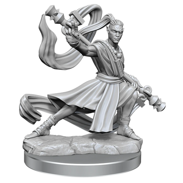 D&D Frameworks: Elf Monk Male - Unpainted And Unassembled