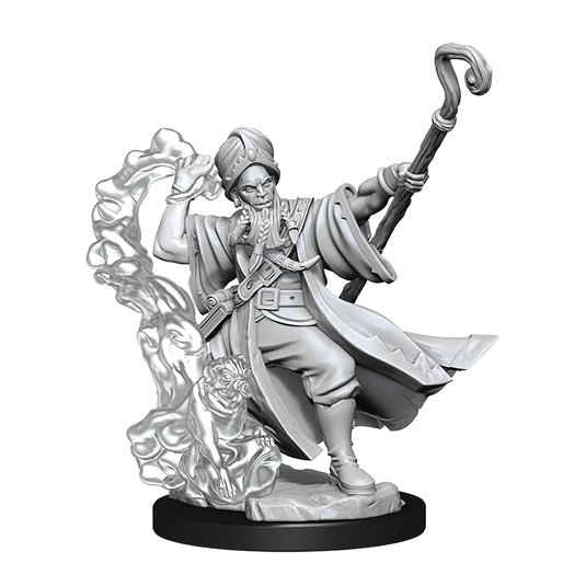 D&D FRAMEWORKS: HUMAN WIZARD MALE - UNPAINTED AND UNASSEMBLED