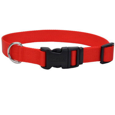 Coastal Adjustable Nylon Dog Collar with Plastic Buckle (Red) Size 10-14"