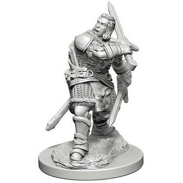 Dungeons & Dragons Nolzur`s Marvelous Unpainted Miniatures: W3 Human Male Paladin
