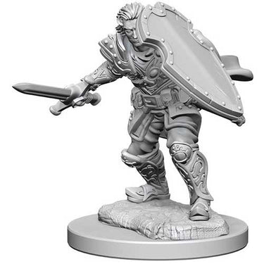 Dungeons & Dragons Nolzur`s Marvelous Unpainted Miniatures: W3 Human Male Paladin