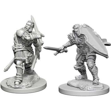 Dungeons & Dragons Nolzur`s Marvelous Unpainted Miniatures: W3 Human Male Paladin